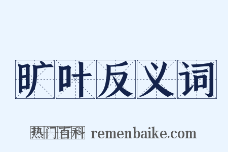 旷叶反义词是什么意思的图片